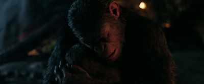 We're still searching. - War for the Planet of the Apes