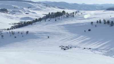 Were super heated water
beneath the surface - Yellowstone: One-Fifty