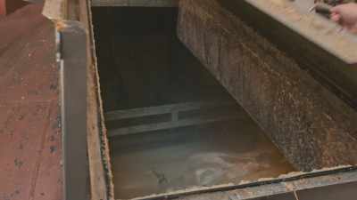 We're taking all the grains
that are in the process, - Neat: The Story of Bourbon