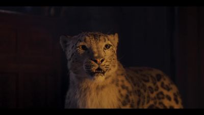 We're too late. - His Dark Materials