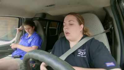We're transporting a goat
from the hospital down, - Secrets of the Zoo