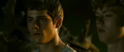 We're trapped here, aren't we? - The Maze Runner