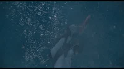 We're trying to get the details. - Surf's Up