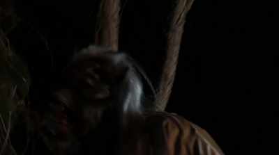 (werewolf growling
and shrieking) - Bride of the Werewolf