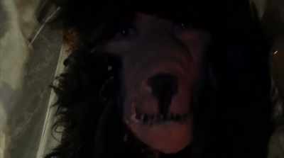 (werewolf growling) - Bride of the Werewolf