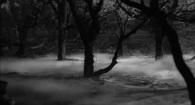 Werewolf! - Young Frankenstein