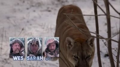 [wes] I'm kind of immobile
right now. - Naked and Afraid