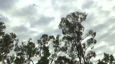Wet and greasy machinery
could pose an even greater risk. - Outback Opal Hunters