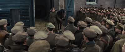 We’ve all clubbed together. - War Horse