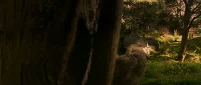 We've already been through this beforeWe both know you haven't got it in you - The Chronicles of Narnia: The Lion, the Witch and the Wardrobe