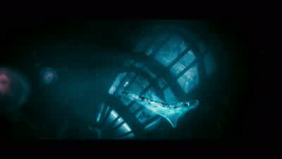 We've already crashed. - Pandorum