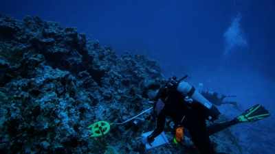 We've
been here at Beveridge for over - Protecting Paradise: The Story of Niue
