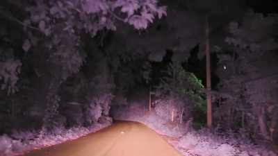 We've been investigating a farm
where we've been told - Impact x Nightline