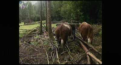 We've been just as
friendly as these people are - Wild Life