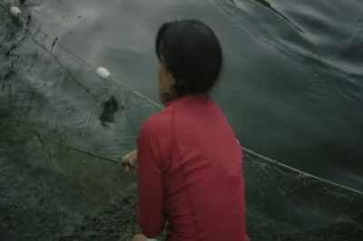 We've been relying
on those same runs of fish, - Artifishal