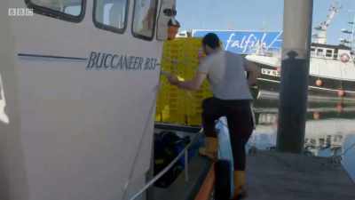 We've been struggling a bit, the
last few weeks, yeah, - Cornwall: This Fishing Life