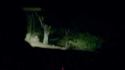 We've been told that every
time a car approaches or we go - Trafficked with Mariana van Zeller