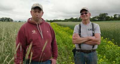 We've been trying
to solve some problems - The Pollinators