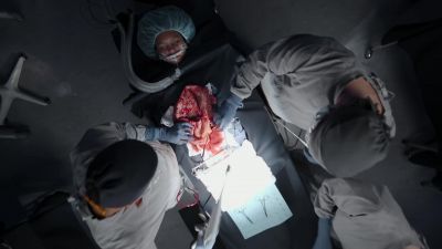 We've cleared
the omentum covering. - The Good Doctor