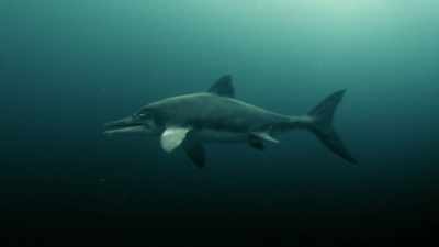 We've discovered
for the first time - Attenborough and the Sea Dragon