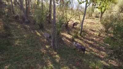 We've found animals
that we would never find - Secrets of the Zoo