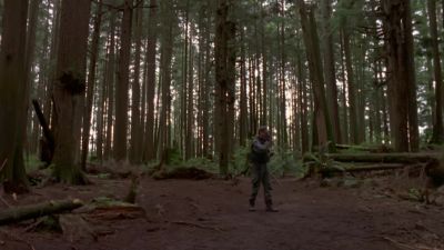 We've given the nanocytes some
live tissue to interact with, - Stargate SG-1