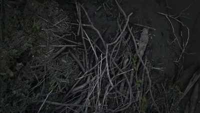 We've got a clog there
of brushes and branch, - Unsolved Mysteries