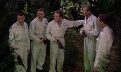 We've got an Alice in Wonderland
forest here. - Journey to the Seventh Planet