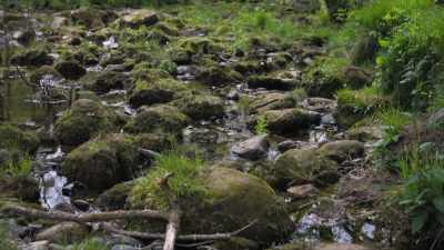 We've got everything from
globally important peatlands, - A Brief History of the Future
