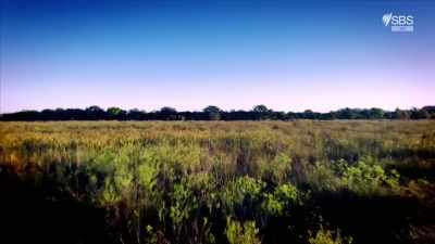 We've got hills and deep valley
systems going on as well. - Curse of the Ancients with Alice Roberts