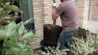We've got landscaping
going in, - Fixer Upper: Behind the Design