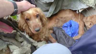 We've got one dog,
horses running alongside. - From Russia to Iran: Crossing Wild Frontier