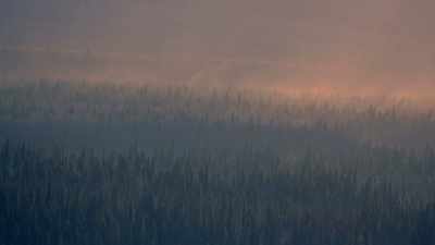 We've got some pretty
fierce below zero weather. - Life Below Zero: Next Generation