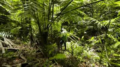 We've got to start mapping further
into the cave, see how far it goes. - Lost Treasures of the Maya