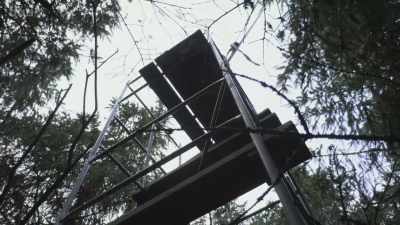 We've got the full tower up now,
so we're pretty much - Wild Isles