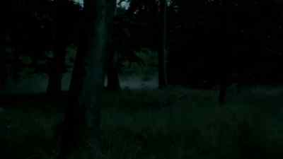 We've got the house surrounded. - Wallander