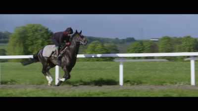 We've got to train them so
that a nine-stone jockey - Horsepower