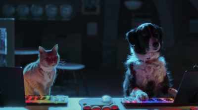 We've gotta do something. You
canines designed this system. - Cats & Dogs 3: Paws Unite