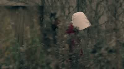 We've just gotta get to the city. - The Handmaid's Tale