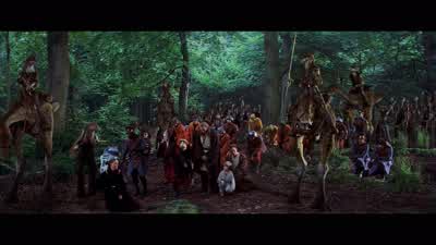 We've sent our patrols. - Star Wars: Episode I   The Phantom Menace