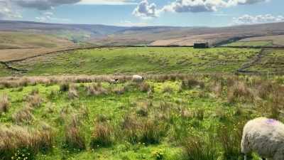We've still a long way to go, - Our Yorkshire Farm