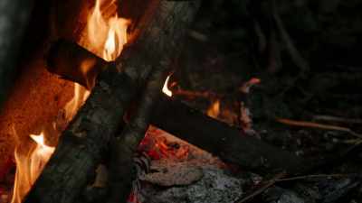 We've still got
a leg in this race, - Chefs vs Wild