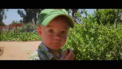 - We've yet to make a profit
on one fruit in particular. - The Biggest Little Farm: The Return