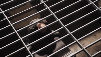 WEYLAND: Carl Lucas. - Death Race: Inferno