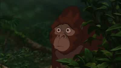 Wh-What's happening? - Tarzan