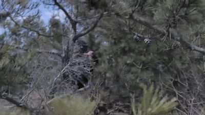 Wha... What the hell are you doing? - Blindspot