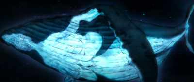 (whale clicking) - Children of the Sea