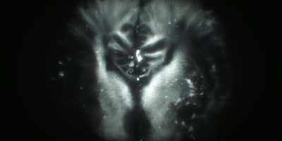 Whales evolved to build relationships
in the dark. - Fathom