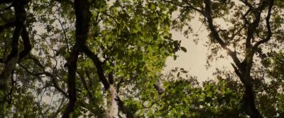 What a beautiful day huh - Safe Haven