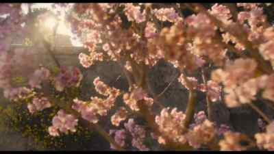 What a beautiful day.
Should we walk by the olive trees? - The Decameron